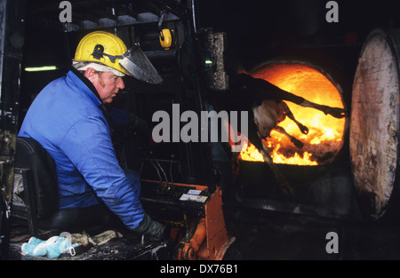 Verbrennung von Kuh-Korpus mit vermuteten BSE, Rinderwahnsinn. Midlands, Großbritannien Stockfoto