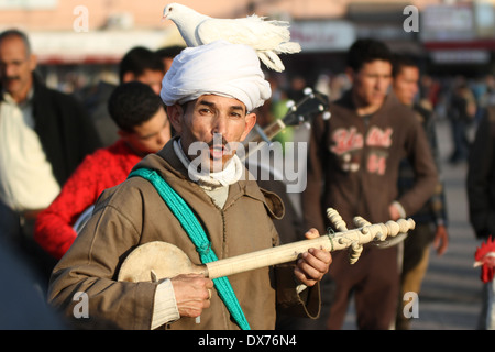 Ein Musiker spielt eine Gitarre auf dem Djemaa el Fna Platz, Marrakesch, Marokko mit einer Taube auf den Kopf Stockfoto