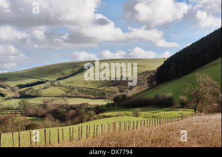 Die Landschaft in der Nähe von New Radnor, Powys, Großbritannien Stockfoto