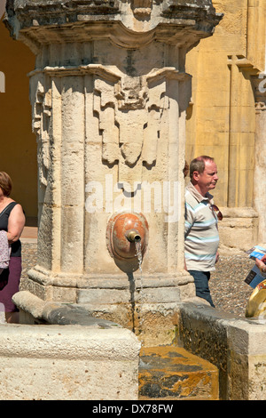 Córdoba, Andalusien, Spanien. Ein Brunnen in den Patio de Los Naranjos; (Hof des Orange Bäume) in der Kathedrale, ehemals eine Mosq Stockfoto