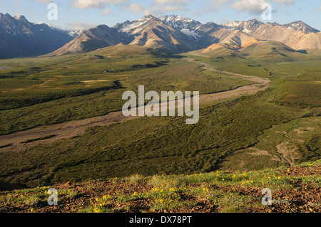 Blick vom Polychrome Pass in Denali National Park Alska Stockfoto