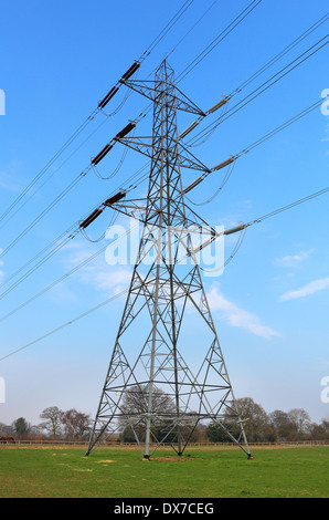 Strommast gesetzt in einem Feld vor einem blauen Himmel Stockfoto