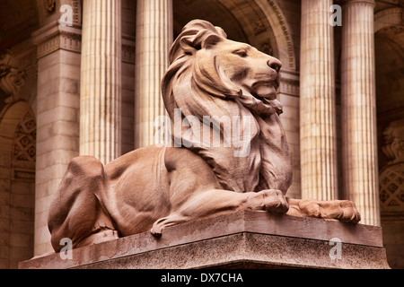 New York City Public Library außen mit Löwenstatue Stockfoto