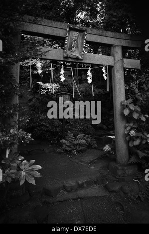 Torii-Tor am Hikawa-Schrein, Tokyo, Japan Stockfoto