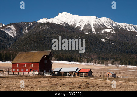 Eine Ranch Farm homestead sieht hell und kalt im Winterfrost Stockfoto