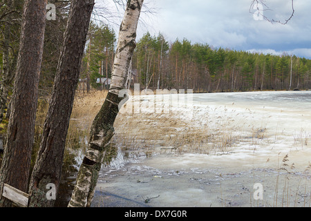 Frühjahr mit Schnee und Eis schmelzen Stockfoto