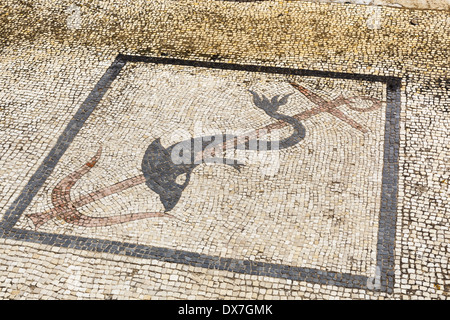 Delphin-Mosaik im Stock im Haus der Trident, Delos Archäologische Stätte, Delos, in der Nähe von Mykonos, Griechenland Stockfoto