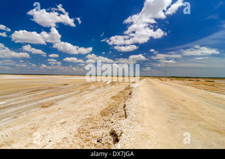 Feldweg durch Wüsten Flachland in La Guajira, Kolumbien Stockfoto
