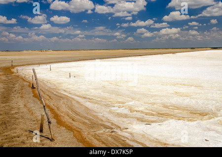 Salz Pool in La Guajira, Kolumbien geerntet werden Stockfoto