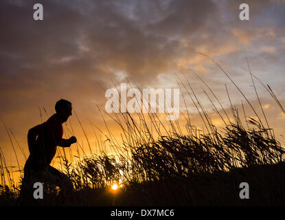 Cowpen Woodland Park, Billingham, Nord-Ost-England, Vereinigtes Königreich. 20. März 2014. Jogger bei Sonnenaufgang in Cowpen Woodland Park in Billingham, Nordostengland an einem luftigen Donnerstag Morgen. Prognose für die nächsten Tage ist für die kältere Luft nach unten aus dem Norden mit möglichen Nachtfrost fegen. Bildnachweis: ALANDAWSONPHOTOGRAPHY/Alamy Live-Nachrichten Stockfoto