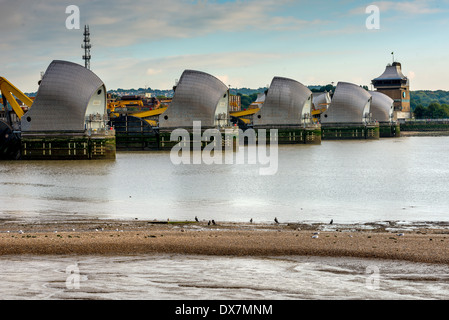 Die Themse-Sperrwerks auf der Themse in East London Stockfoto