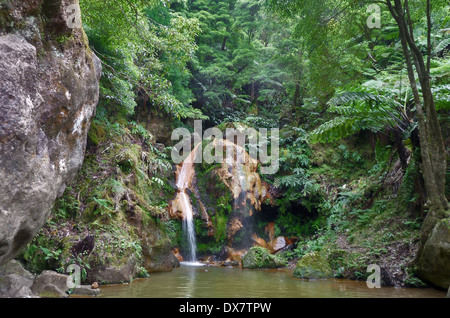 Schwefel-Frühling auf den Azoren in Portugal Stockfoto