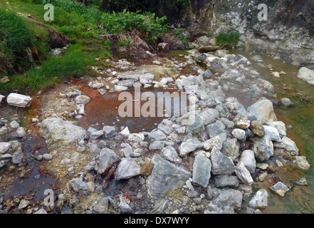 Mineralquelle auf den Azoren in Portugal Stockfoto