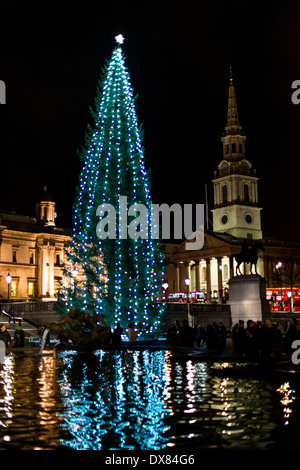 Trafalgar Square, Weihnachten 2013, in der Nacht mit berühmten Weihnachtsbaum, gestiftet von der Stadt Oslo jedes Jahr spektakulär beleuchtet Stockfoto