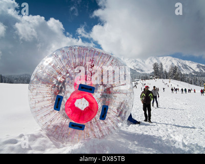 Indien, Kaschmir, Gulmarg, Zorb menschlichen Hamster Ball auf Übungsgelände nach starkem Schneefall Stockfoto