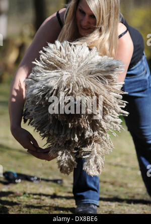 München, Deutschland. 20. März 2014. "Dogdancerin" Johanna Schmidt Hund Benji führt einen Trick während einer Presse-Termin im Rahmen des Pet-Messe in München, Deutschland, 20. März 2014. Benji ist ein Puli. Das Fell dieser seltene ungarische Rasse ähnelt Dreadlocks. Das Haustier Messe läuft vom 21. bis 23 März. Bildnachweis: ANDREAS GEBERT/Dpa/Alamy Live-Nachrichten Stockfoto