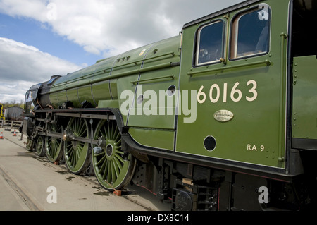 Dampfmaschine Tornado bei der Fortbewegung der National Railway Museum Shildon Durham England Stockfoto