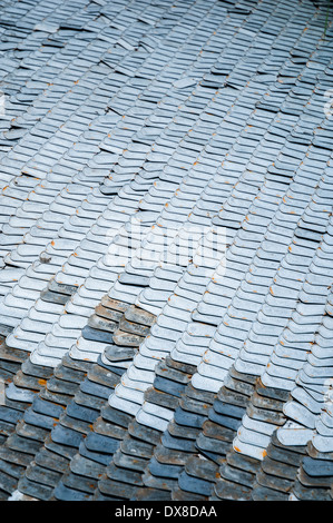 Eine große Sammlung von Militärpersonal "Dog Tags" auf dem Display auf der Chelsea Flower show 2012. Stockfoto