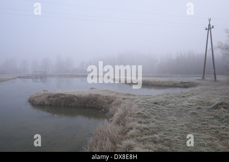 Malerische Beschriftung des nebligen Landschaft in Woiwodschaft Świętokrzyskie Berge, Polen Stockfoto