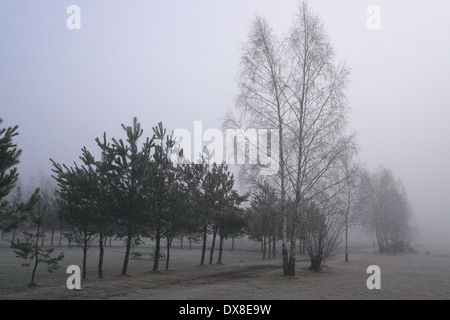 Malerische Beschriftung des nebligen Landschaft in Woiwodschaft Świętokrzyskie Berge, Polen Stockfoto