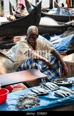 Süd Süd Indien Kerala Fort Cochin Kochi Kai Fischmarkt grau graues Haar dunkelhaarigen Mann männliche Verkäufer Boot Boote Meerwasser Stockfoto