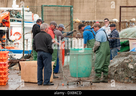 Fischer ihren Fang am Kai von Sagres Hafen entladen Stockfoto