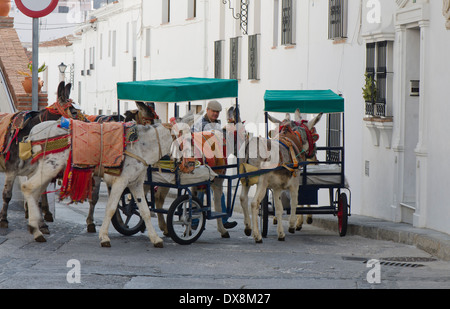 Mann führende touristische Esel Kutschen in der spanischen weiße Dorf Mijas, Südspanien. Stockfoto