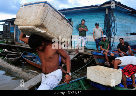 Verkauf Fisch - Hafen in TABATINGA. Bundesstaat Amazonas. Brazilien Stockfoto