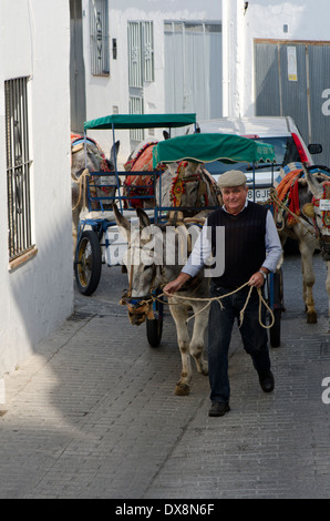 Mann führende touristische Esel Kutschen in der spanischen weiße Dorf Mijas, Südspanien. Stockfoto