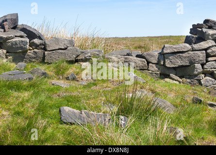 Trockenmauer auf Moorland gebrochen Stockfoto