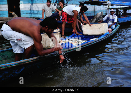 Verkauf Fisch - Hafen in TABATINGA. Bundesstaat Amazonas. Brazilien Stockfoto