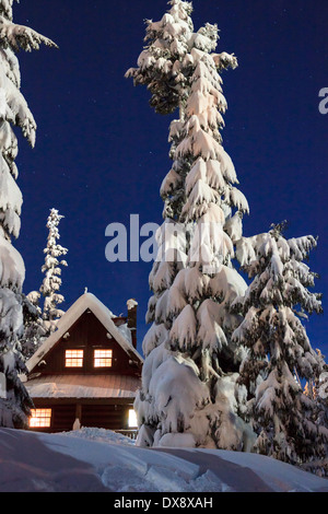 Eine Hütte in ein Winterwunderland. Stockfoto