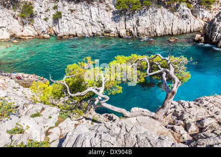 Calanques in der Nähe von Marseille und Cassis im südlich von France.jpg Stockfoto