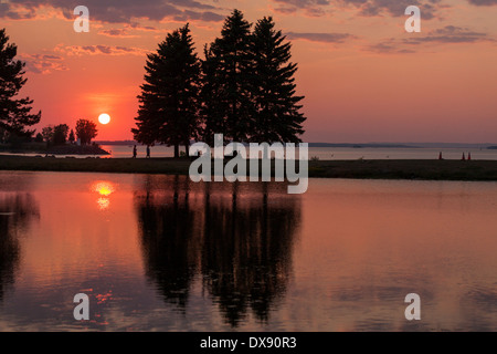 Sommer Sonnenuntergang spiegelt sich im Park. Die Sonne geht über dem Ottawa-Fluss und es und 3 Bäume spiegeln sich im künstlichen Teich Stockfoto