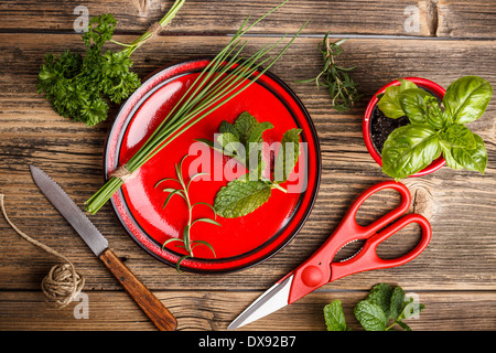 Frisch geerntete Gewürze mit Schere und Messer auf Holz Hintergrund Stockfoto