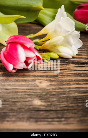 Tulpe und Freesie auf hölzernen Hintergrund Stockfoto