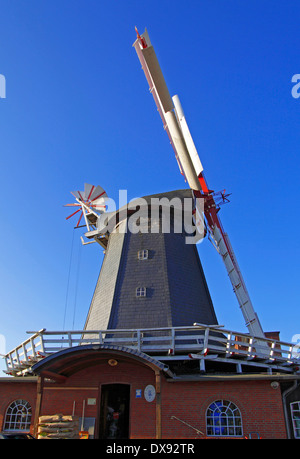 Windmühle, Bardowick Stockfoto