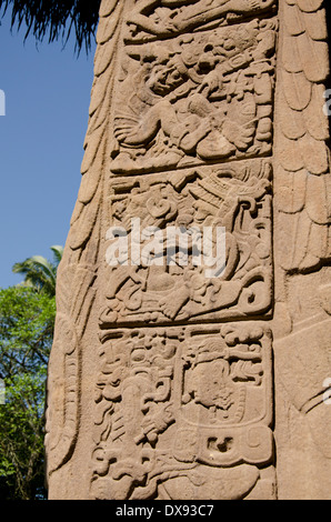 Guatemala, Abteilung von Izabal, Quirigua Nationalpark. Maya-Ausgrabungsstätte, klassischen Periode (200-900 n. Chr.). Stelen Detail. Stockfoto