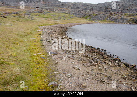 Kanada, Nunavut, Cape Dorset. Mallikjuag Territorial Park, archäologische Stätte. Tierknochen. Stockfoto