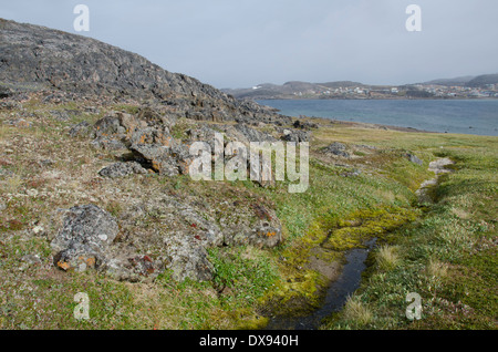 Kanada, Nunavut, Cape Dorset. Mallikjuag Territorial Park, archäologische Stätte von Dorset-Kultur (1000 v. Chr.-1100 n. Chr.) Stockfoto