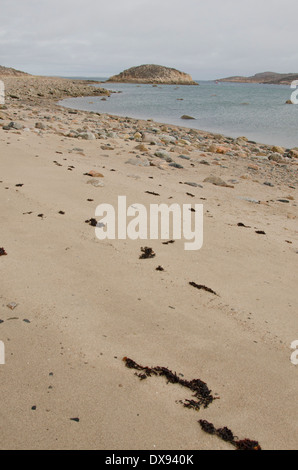 Kanada, Nunavut, Cape Dorset. Mallikjuag Territorial Park, archäologische Stätte von Dorset-Kultur. Entfernten Felsenküste. Stockfoto