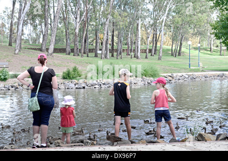 Familie füttern Enten im Bicentennial Park Tamworth Nsw Australia Stockfoto