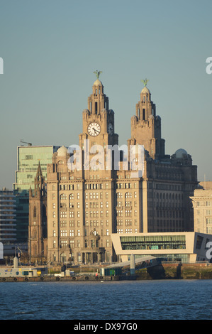 Royal Liver Building, Liverpool Stockfoto