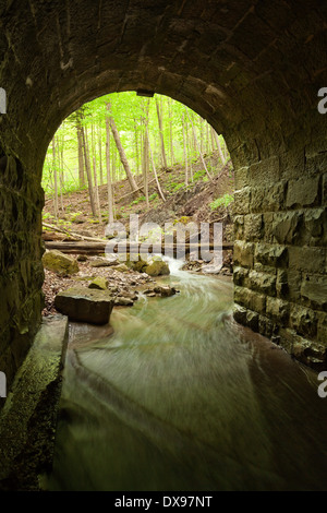 Eingang des schönen Steinblock Durchlass Blick auf einem üppigen Wald in Hamilton, Ontario, Kanada. Stockfoto