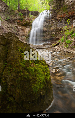 Ein großen Felsblock sitzt in einem Bach mit Tiffany fällt im Hintergrund in Ancaster, Ontario Kanada. Stockfoto