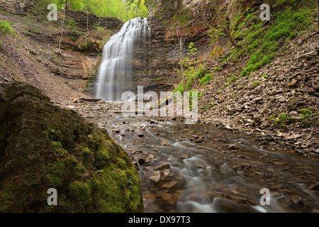 Ein großen Felsblock sitzt in einem Bach mit Tiffany fällt im Hintergrund in Ancaster, Ontario Kanada. Stockfoto