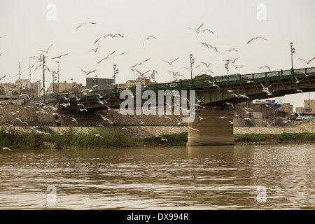 Brücke-Märtyrer in Bagdad Stockfoto