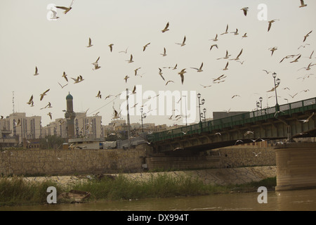 Brücke-Märtyrer in Bagdad Stockfoto