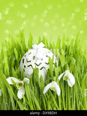 Frühling Blumen Schneeglöckchen und Ei Dekoration in grün grass über der Hintergrund jedoch unscharf. Ostern-Zusammensetzung Stockfoto