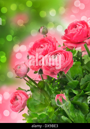 schöner Blumenstrauß der Blumen im Frühling rosa Ranunkeln über verschwommenes Fantasy Hintergrund Stockfoto